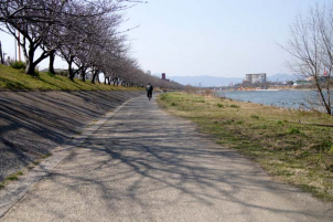 今井堤サイクリング道路の画像