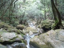 八木山渓流公園キャンプ場