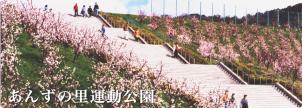 あんずの里運動公園多目的広場の画像
