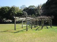 わかたけ広場（野外活動広場）