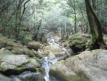 八木山渓流公園キャンプ場