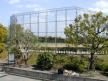 榎田中央公園野球場