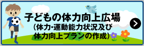 子どもの体力向上広場（体力・運動能力状況及び体力向上プランの作成）